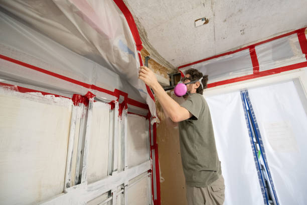 Best Water Damage & Mold Remediation  in Ontario, OR