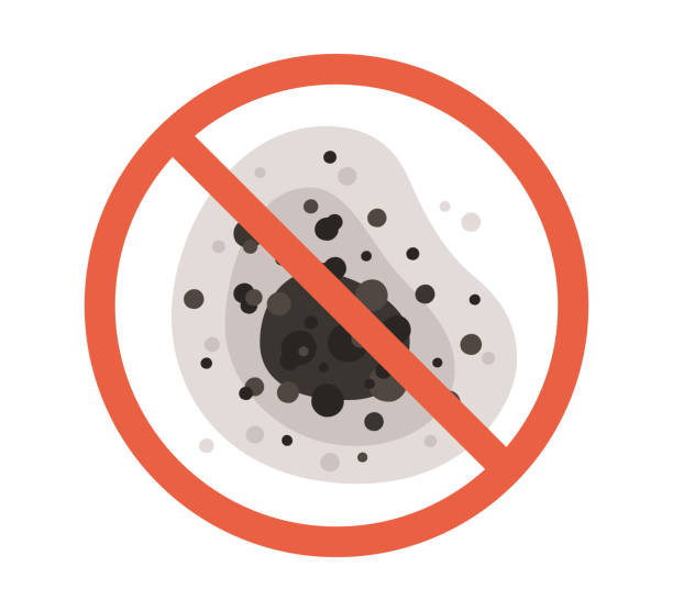 Biohazard Mold Removal in Ontario, OR